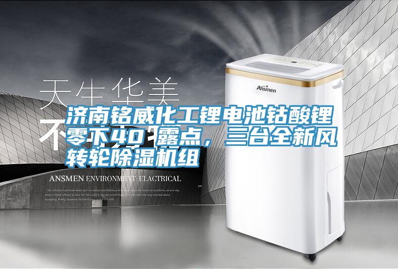 濟南銘威化工鋰電池鈷酸鋰零下40℃露點，三臺全新風(fēng)轉(zhuǎn)輪除濕機組