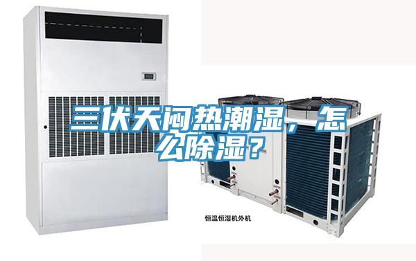 三伏天悶熱潮濕，怎么除濕？