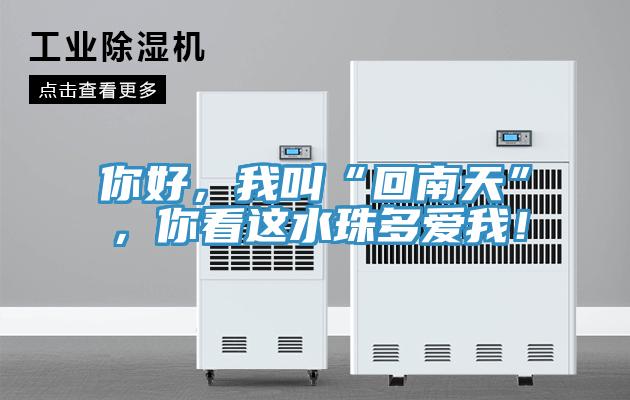 你好，我叫“回南天”，你看這水珠多愛我！