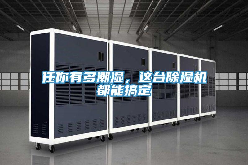 任你有多潮濕，這臺(tái)除濕機(jī)都能搞定