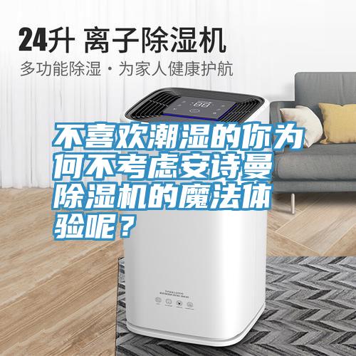 不喜歡潮濕的你為何不考慮安詩曼除濕機的魔法體驗呢？