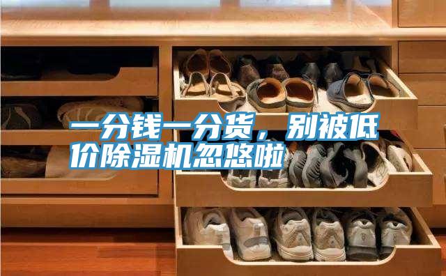 一分錢一分貨，別被低價除濕機忽悠啦