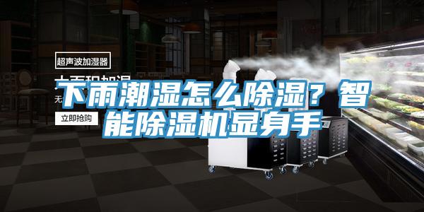下雨潮濕怎么除濕？智能除濕機(jī)顯身手