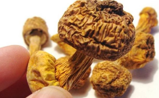 巴西菇、姬松茸烘干機(jī)-怎樣烘干色澤好且菇體褶片完整？