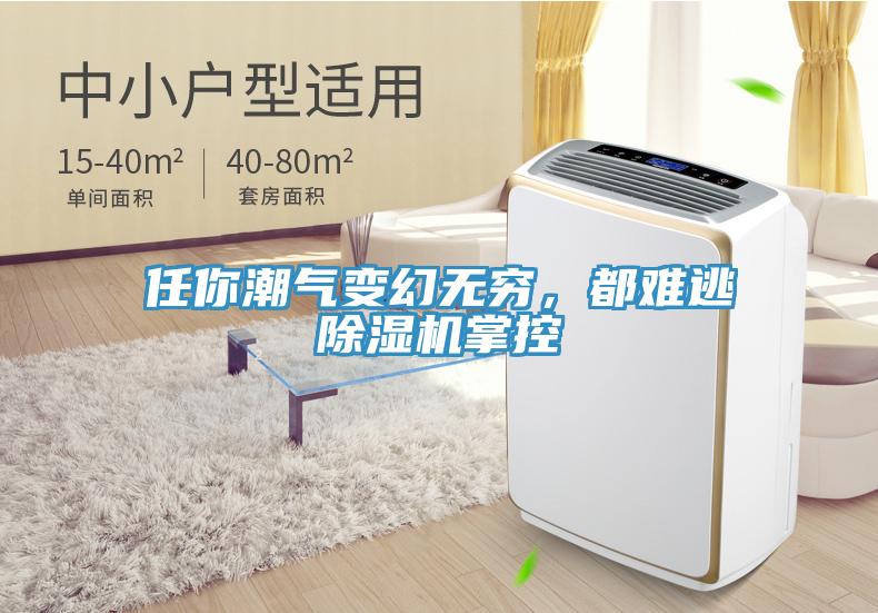 任你潮氣變幻無窮，都難逃除濕機(jī)掌控