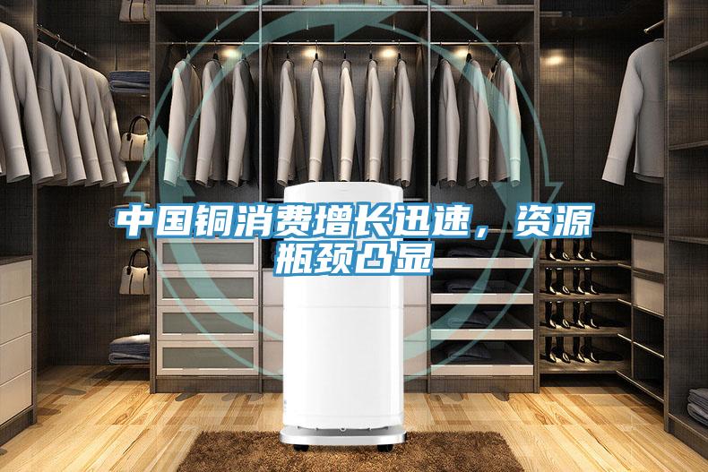 中國(guó)銅消費(fèi)增長(zhǎng)迅速，資源瓶頸凸顯