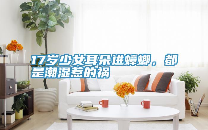 17歲少女耳朵進(jìn)蟑螂，都是潮濕惹的禍