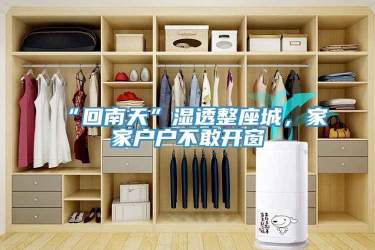 “回南天”濕透整座城，家家戶戶不敢開窗