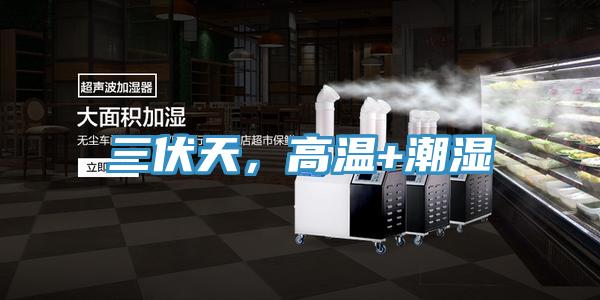 三伏天，高溫+潮濕