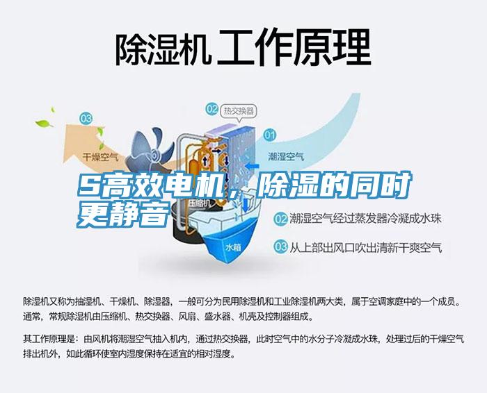 S高效電機(jī)，除濕的同時更靜音