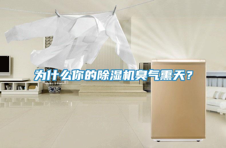 為什么你的除濕機(jī)臭氣熏天？