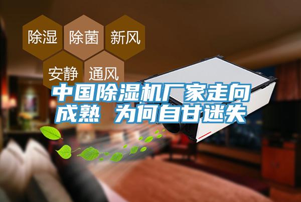 中國(guó)除濕機(jī)廠(chǎng)家走向成熟 為何自甘迷失
