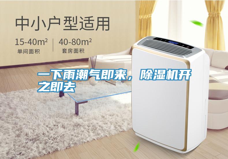 一下雨潮氣即來，除濕機開之即去