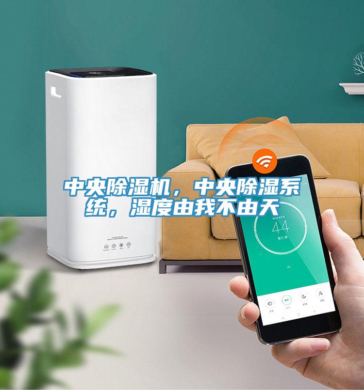 中央除濕機(jī)，中央除濕系統(tǒng)，濕度由我不由天