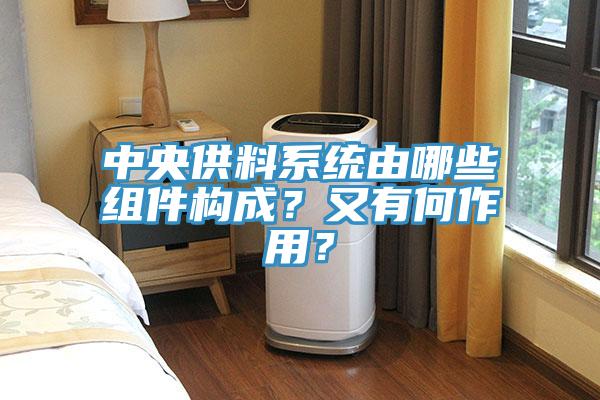 中央供料系統(tǒng)由哪些組件構(gòu)成？又有何作用？