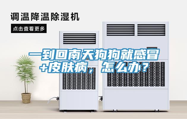 一到回南天狗狗就感冒+皮膚病，怎么辦？