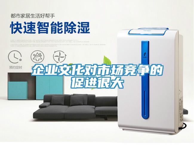 企業(yè)文化對(duì)市場(chǎng)競(jìng)爭的促進(jìn)很大
