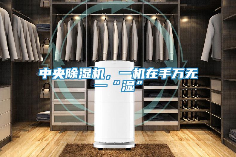 中央除濕機(jī)，一機(jī)在手萬(wàn)無(wú)一“濕”
