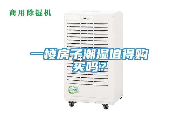 一樓房子潮濕值得購買嗎？