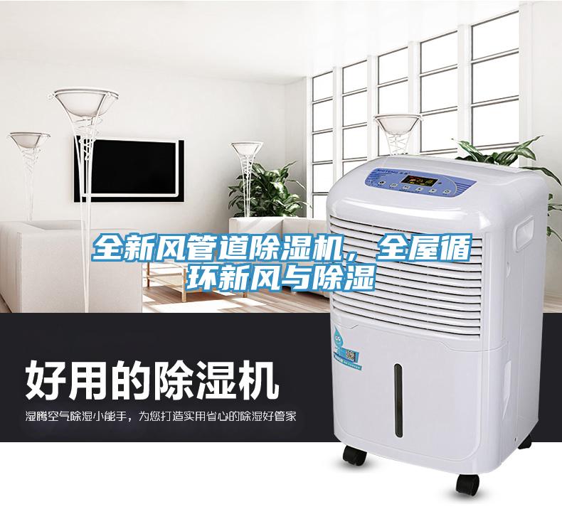 全新風管道除濕機，全屋循環(huán)新風與除濕