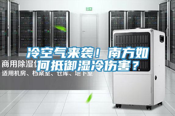 冷空氣來襲！南方如何抵御濕冷傷害？