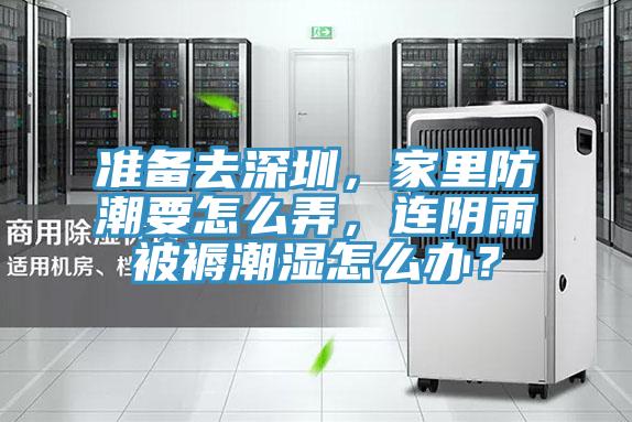 準(zhǔn)備去深圳，家里防潮要怎么弄，連陰雨被褥潮濕怎么辦？