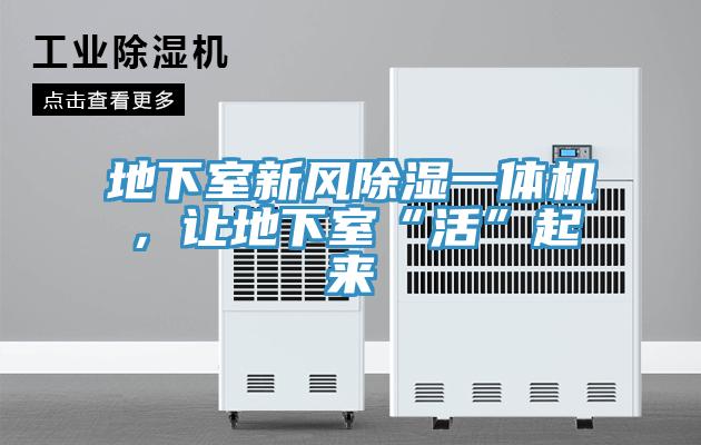 地下室新風(fēng)除濕一體機，讓地下室“活”起來