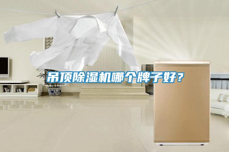 吊頂除濕機哪個牌子好？
