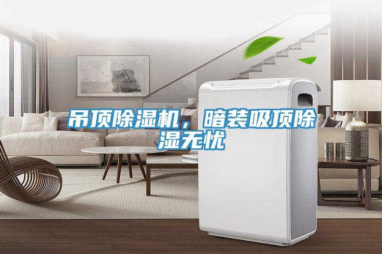 吊頂除濕機(jī)，暗裝吸頂除濕無(wú)憂