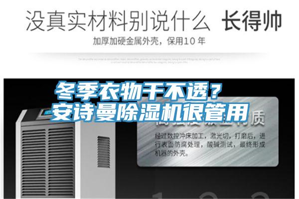 冬季衣物干不透？ 安詩曼除濕機很管用