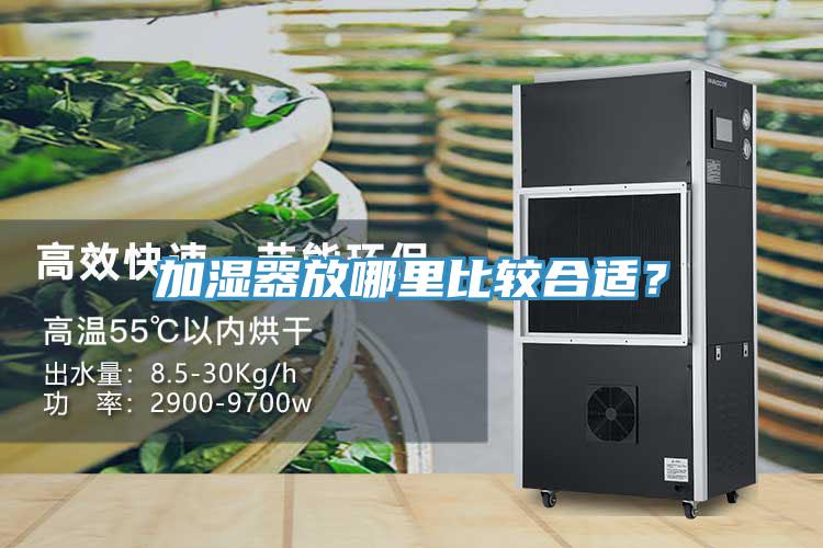 加濕器放哪里比較合適？