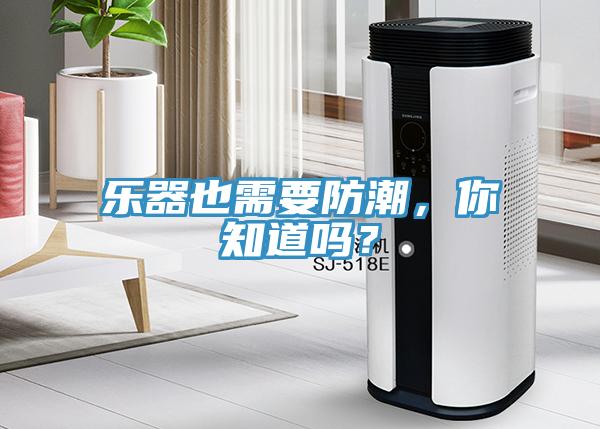 樂器也需要防潮，你知道嗎？