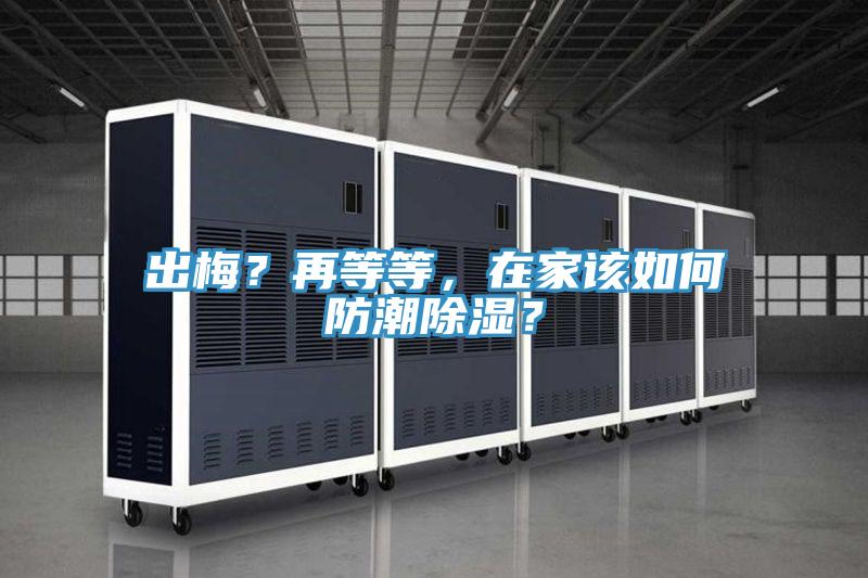 出梅？再等等，在家該如何防潮除濕？