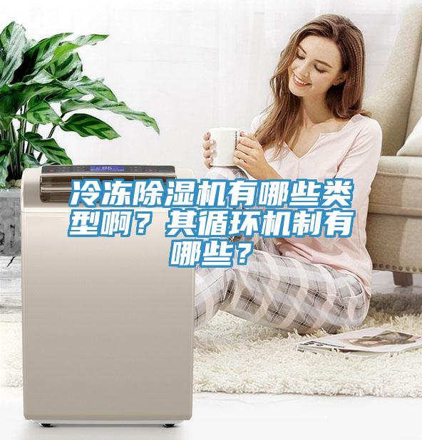 冷凍除濕機(jī)有哪些類型啊？其循環(huán)機(jī)制有哪些？