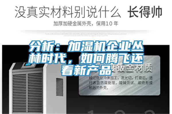 分析：加濕機(jī)企業(yè)叢林時(shí)代，如何騰飛還看新產(chǎn)品