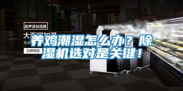 養(yǎng)雞潮濕怎么辦？除濕機(jī)選對(duì)是關(guān)鍵！