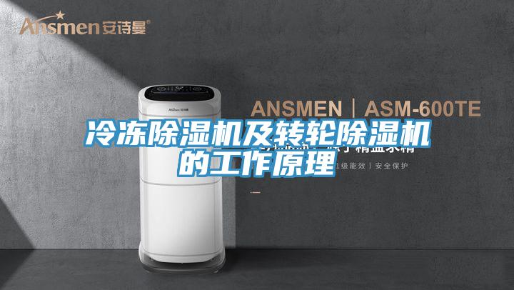 冷凍除濕機及轉(zhuǎn)輪除濕機的工作原理
