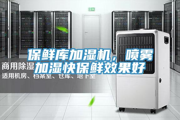 保鮮庫加濕機，噴霧加濕快保鮮效果好