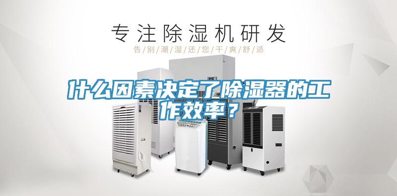 什么因素決定了除濕器的工作效率？