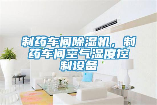 制藥車間除濕機(jī)，制藥車間空氣濕度控制設(shè)備
