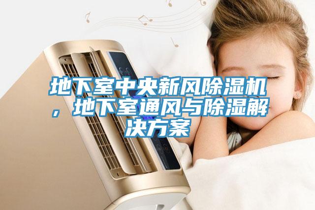 地下室中央新風除濕機，地下室通風與除濕解決方案