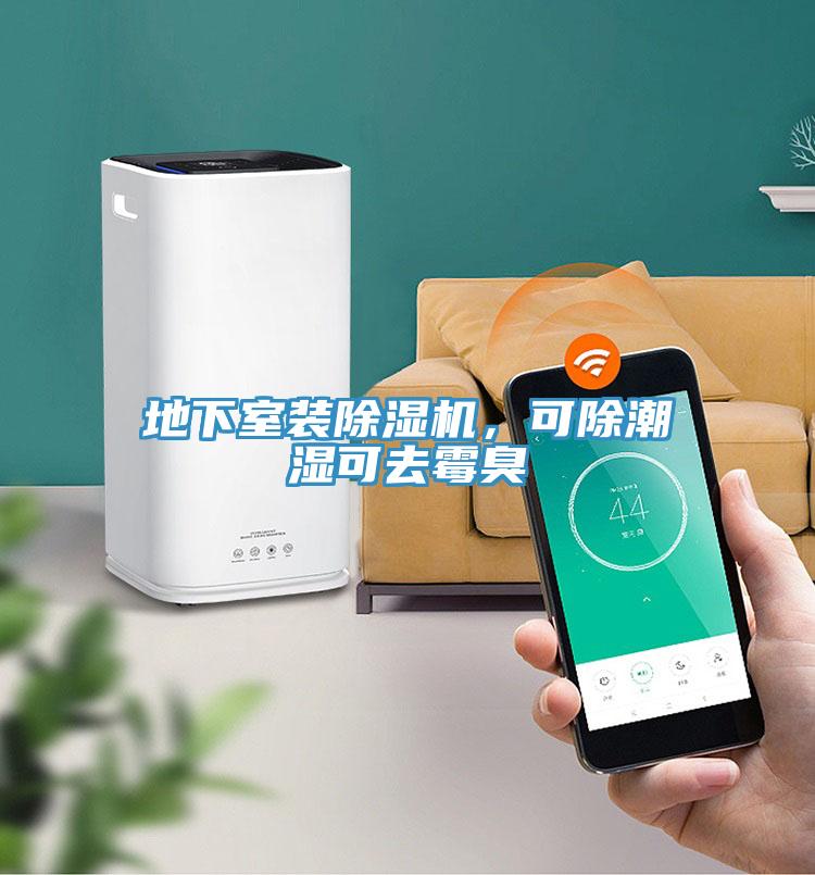 地下室裝除濕機(jī)，可除潮濕可去霉臭