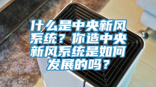 什么是中央新風(fēng)系統(tǒng)？你造中央新風(fēng)系統(tǒng)是如何發(fā)展的嗎？