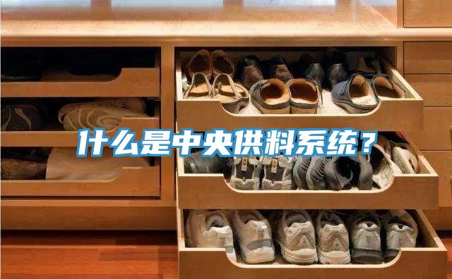 什么是中央供料系統(tǒng)？