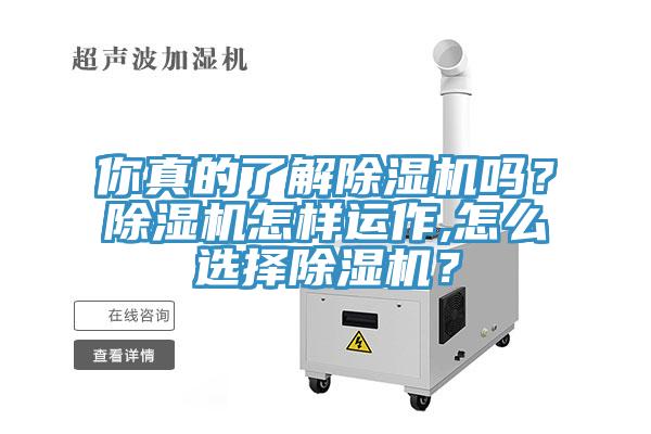 你真的了解除濕機(jī)嗎？除濕機(jī)怎樣運作,怎么選擇除濕機(jī)？