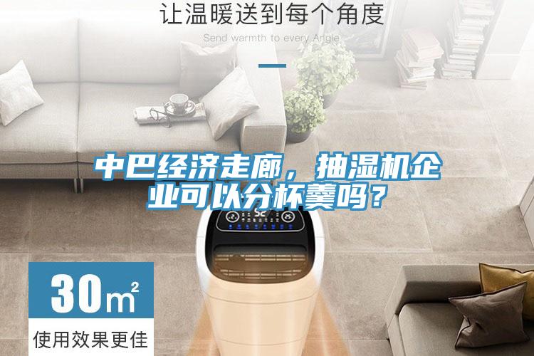 中巴經(jīng)濟(jì)走廊，抽濕機(jī)企業(yè)可以分杯羹嗎？