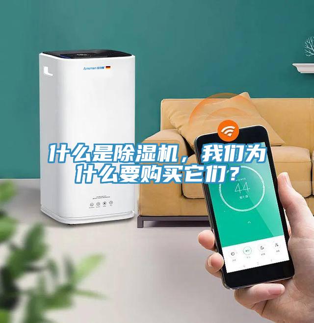 什么是除濕機，我們?yōu)槭裁匆徺I它們？