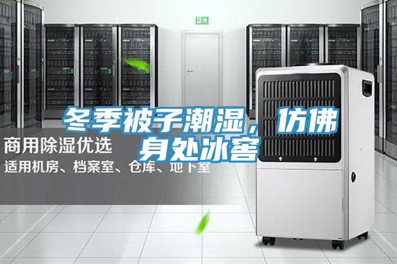 冬季被子潮濕，仿佛身處冰窖