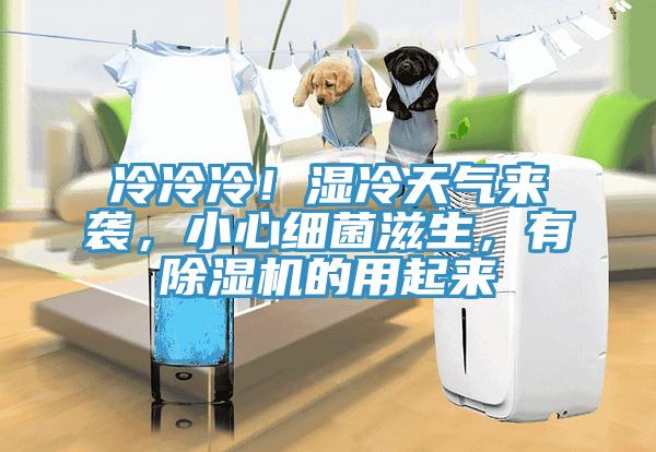 冷冷冷！濕冷天氣來(lái)襲，小心細(xì)菌滋生，有除濕機(jī)的用起來(lái)