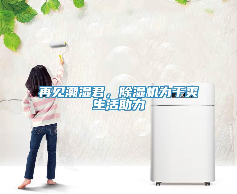 再見潮濕君，除濕機為干爽生活助力